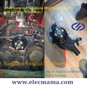 Yangdong Y4102Q water pump installation
