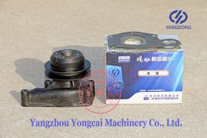 Y495D Yangdong water pump