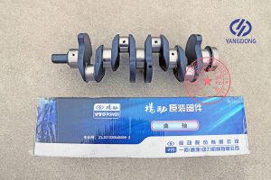 Yangdong Y4102Q engine crankshaft