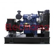 Y495D Yangdong diesel generator set
