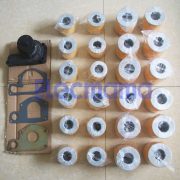 Quanchai QC490D fuel filter oil filter water pump -2