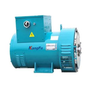 Kangfu marine generator