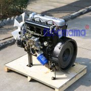 YND485D Yangdong diesel engine -2