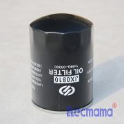 Yangdong YD385D oil filter -3