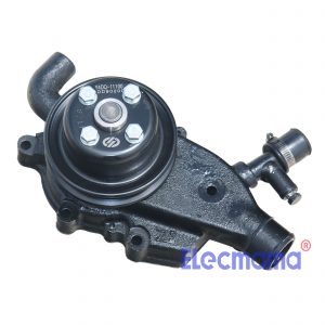 Y4105D Yangdong water pump