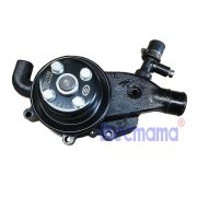 Yangdong Y4100D water pump -1