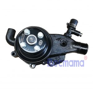 Yangdong Y4100D water pump