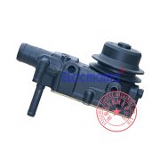 YSD490ZLD Yangdong water pump -1