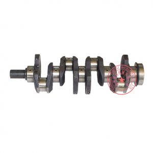 Quanchai 4C6-80M22 crankshaft