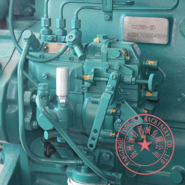 Weichai D226B-3D fuel injection pump