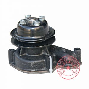 Yangdong Y495D water pump