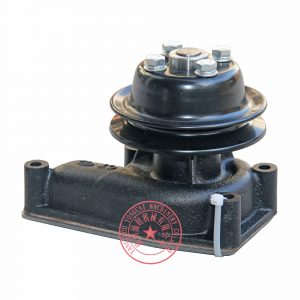 Yangdong Y495D water pump