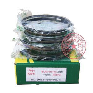 Lovol 1004-4TRT piston rings T4181A026