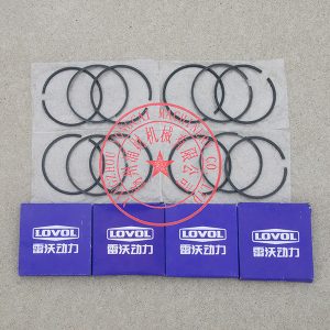 Lovol 1004G engine piston rings