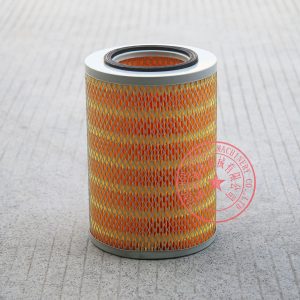 Yangdong Y4102ZLD air filter