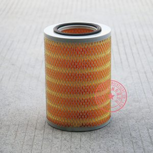 Yangdong Y4105ZLD air filter