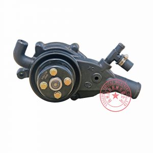 Y4102ZLD Yangdong water pump