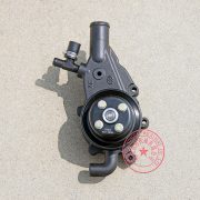 Y4102ZLD Yangdong water pump -6