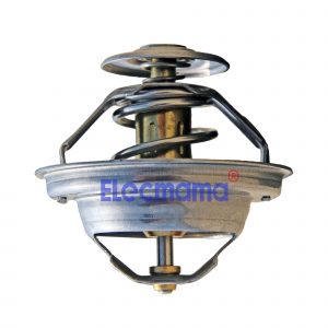 Yangdong Y4102ZLD thermostat