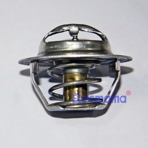 Quanchai N485D thermostat