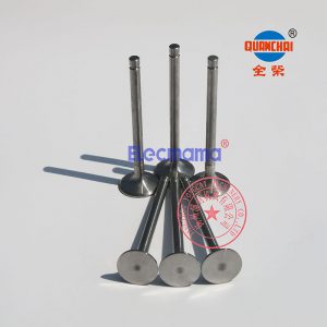 Quanchai QC385D intake valves and QC385D exhaust valves