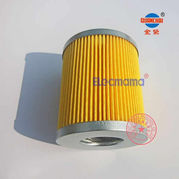 Quanchai QC480D fuel filter -3