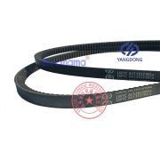 Yangdong YD480D engine belt -1