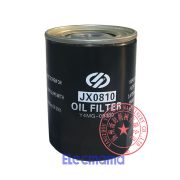 Yangdong YD480D oil filter