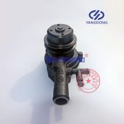 Yangdong YD480D water pump -5