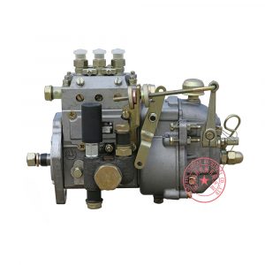 3I416-75-750 Jiangxi Huier Fuel Injection Pump