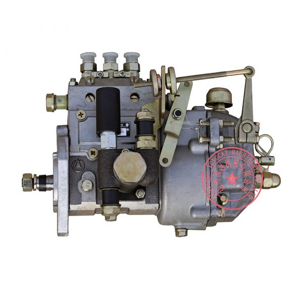 3I416-75-750 Jiangxi Huier Fuel Injection Pump -3