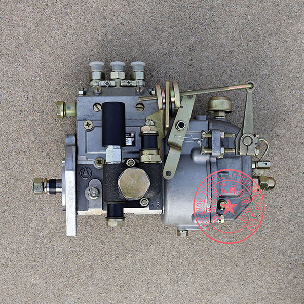 3I416-75-750 Jiangxi Huier Fuel Injection Pump -6