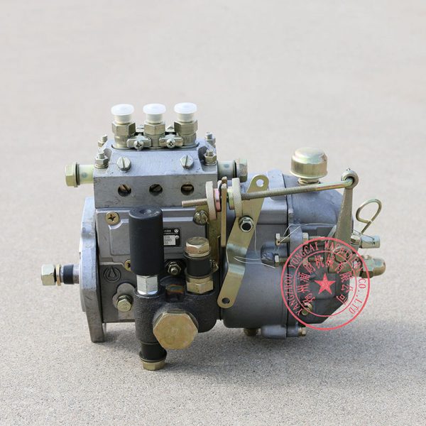 3I416-75-750 Jiangxi Huier Fuel Injection Pump -7