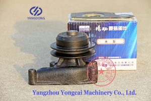 Y495D Yangdong water pump