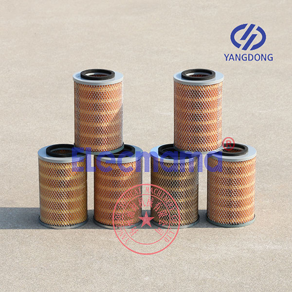 Yangdong Y495D air filter -6