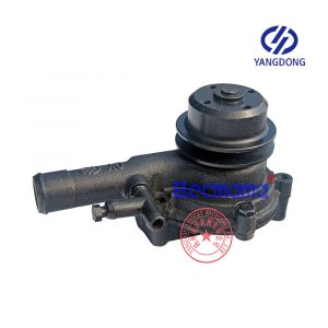 Yangdong YD380D water pump
