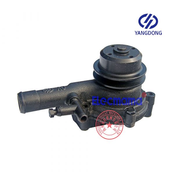 Yangdong YD380D water pump -1