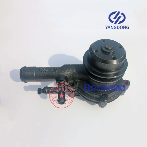 Yangdong YD380D water pump -6