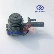 Yangdong YD385D water pump -6