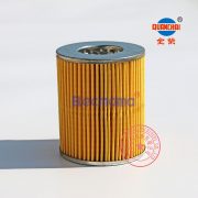 Quanchai QC490D engine fuel filter