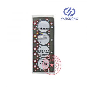 Yangdong Y4102ZLD cylinder head gasket