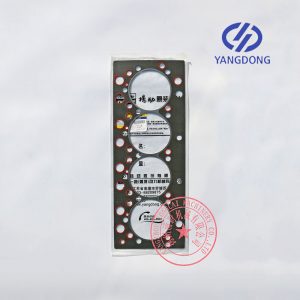 Yangdong Y4102ZLD cylinder head gasket