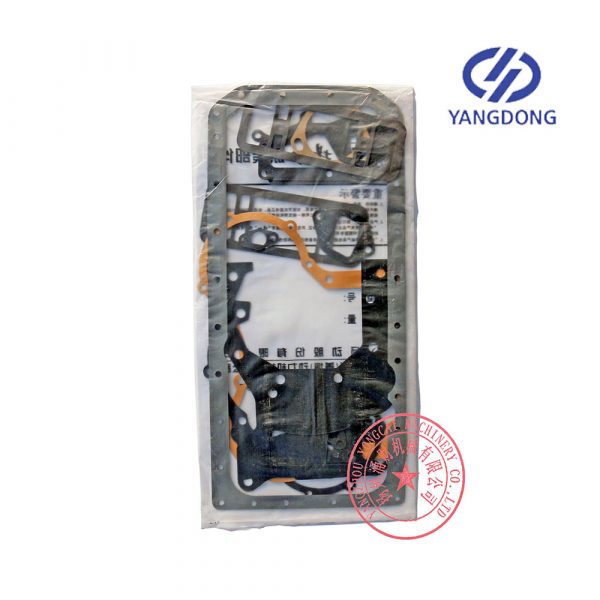 Yangdong Y4102ZLD overhaul gasket kit -2