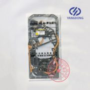 Yangdong Y4102ZLD overhaul gasket kit -4