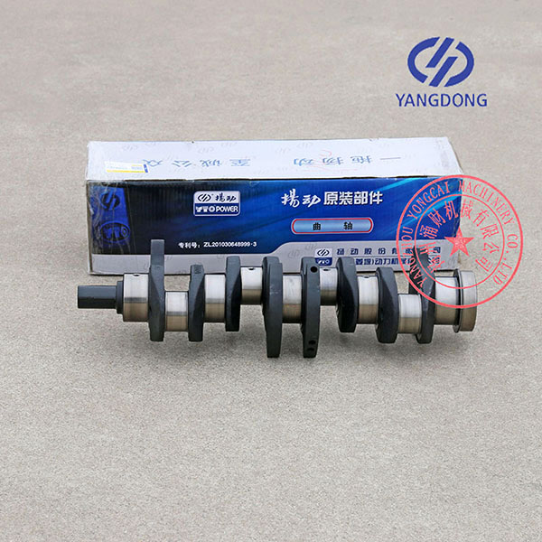 Y4102D Yangdong diesel engine crankshaft -6