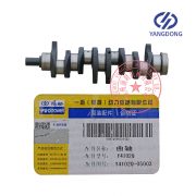 Y4102Q Yangdong diesel engine crankshaft -2