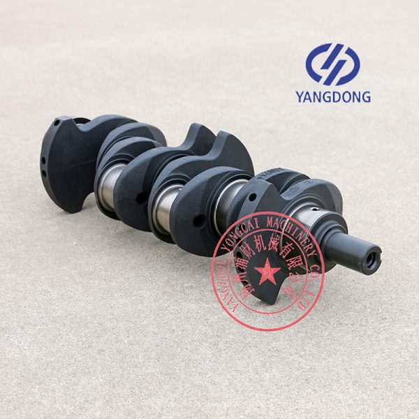 Y4102Q Yangdong diesel engine crankshaft -8