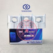 Yangdong 3 cylinder engine piston