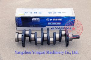 Yangdong Y4102D engine crankshaft
