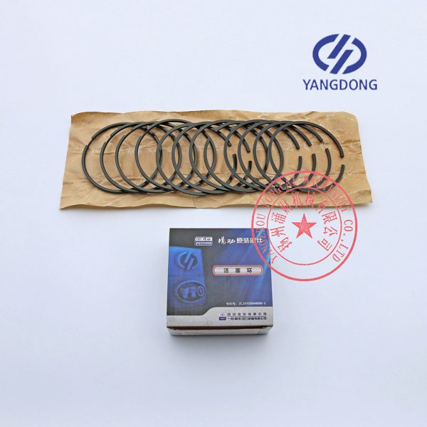 Yangdong Y4102D engine piston rings -10